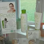 Hotel Logis Le Rabelais Hotel- Restaurant - Fontenay-le-Comte