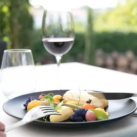 酒店 Logis Le Rabelais Hotel- Restaurant -