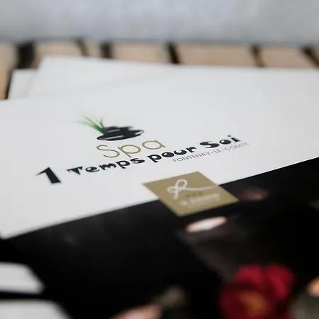 Logis Le Rabelais Hotel- Restaurant - 3* Fontenay-le-Comte