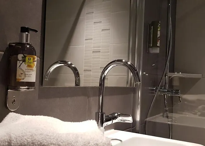 Logis Le Rabelais Hotel- Restaurant - 3* פונטנה-לה-קומט