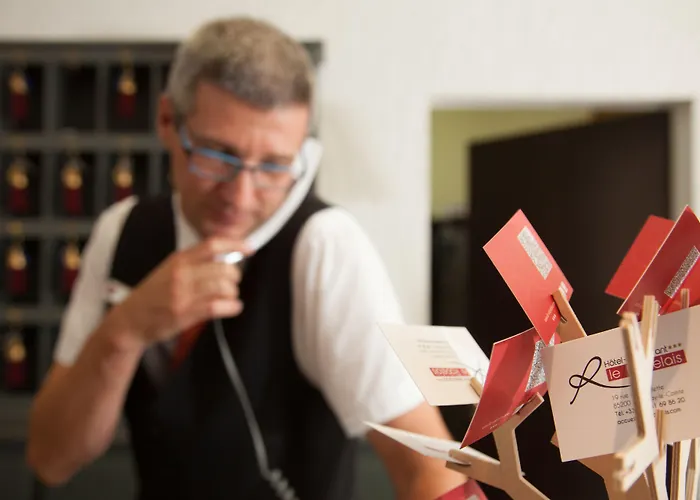 Logis Le Rabelais Hôtel- Restaurant - Hotel