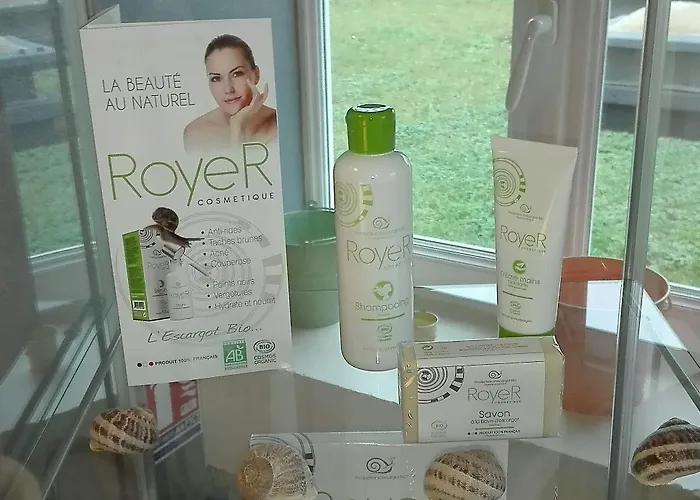 Hotel Logis Le Rabelais Hotel- Restaurant - Fontenay-le-Comte