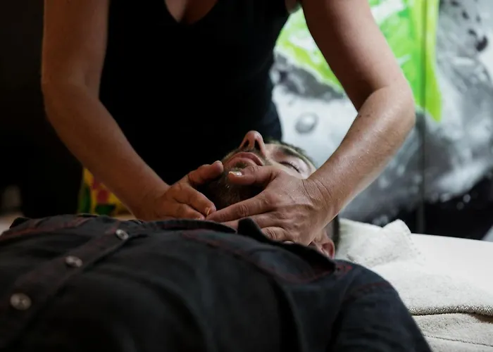 Logis Le Rabelais Hôtel- Restaurant - 3* Fontenay-le-Comte